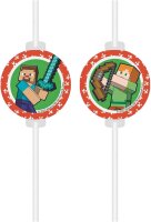 Minecraft Party 4 Trinkhalme