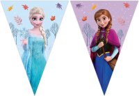 Frozen Idyllic Wonder FSC-Papier-Dreieck-Flagge Banner (9...