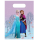 Frozen Idylic Wonder Partytüten Folie